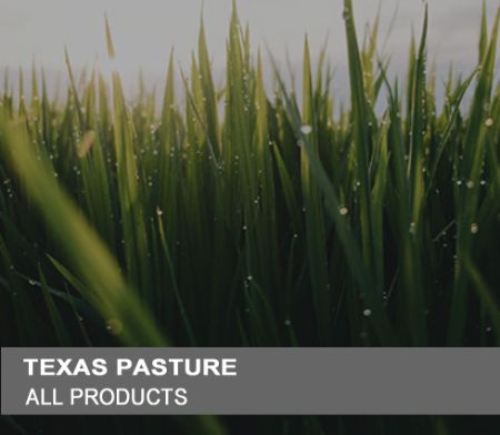 Picture for category All Products