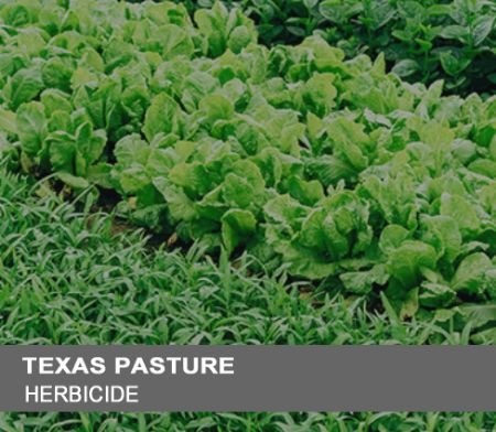 Picture for category Herbicide