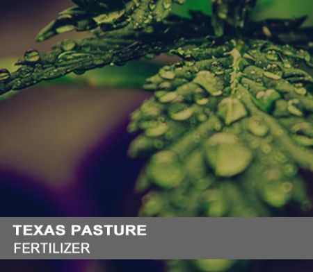 Picture for category Fertilizer